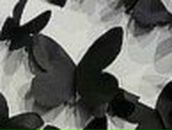 Катюшка Дук | Москва