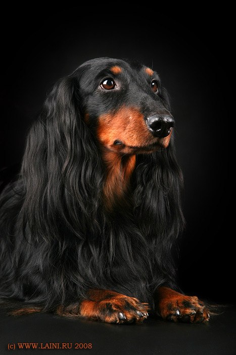 Александра Стойнова | Москва