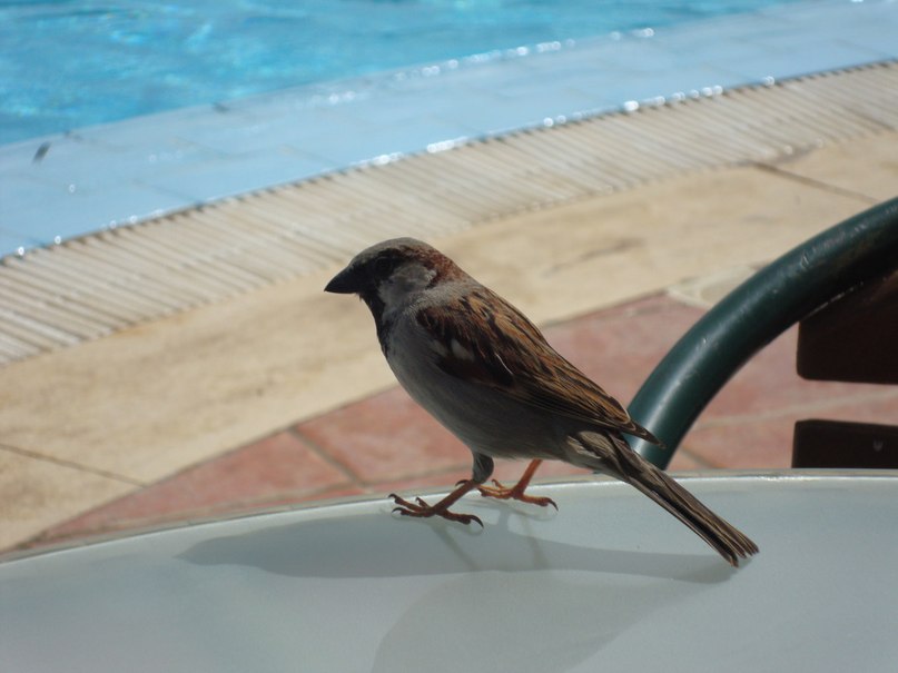 Виктория Бондаренко | Львов