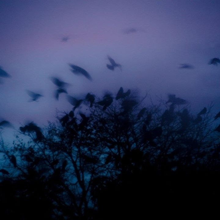 Наталья Лубянная | Новосибирск