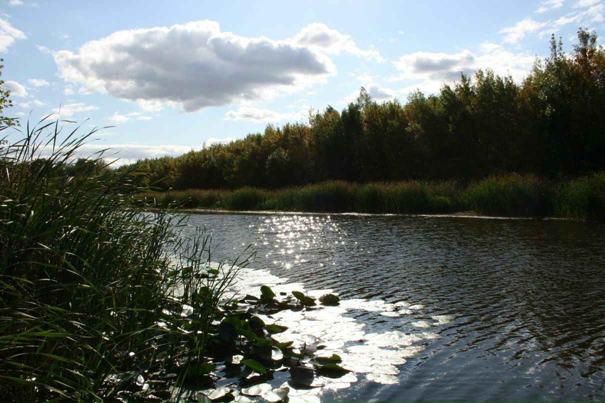 Маргарита Иванова | Москва