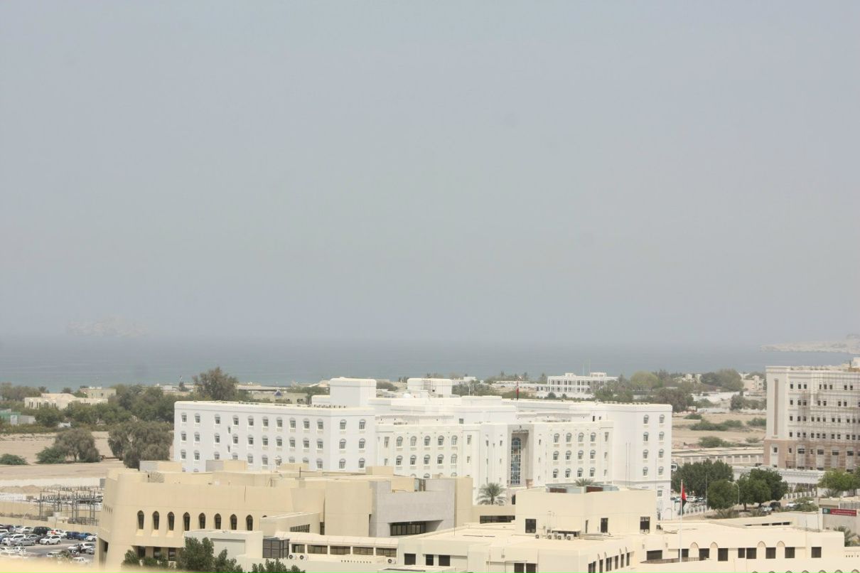 Юлия Романишина | Киев