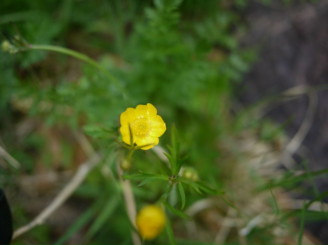 Ольга Чимитова ☂ | Улан-Удэ