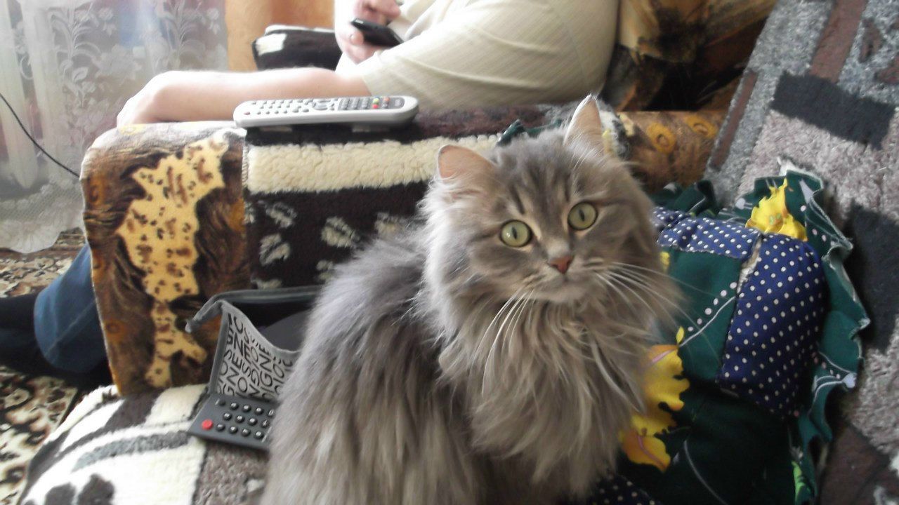 Снежана Струева | Троицко-Печорск