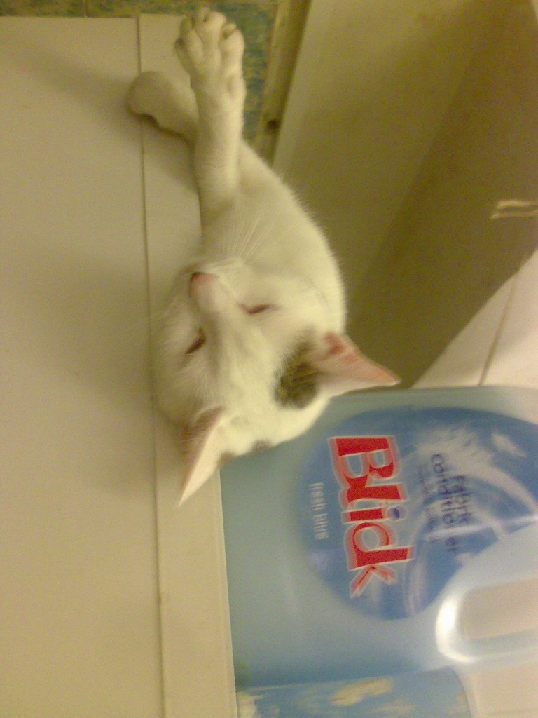 Тарлан Миркамиров Миркамирович | Санкт-Петербург