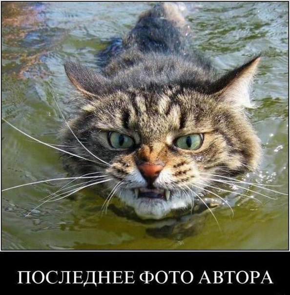 Павел Лыскин | Воронеж