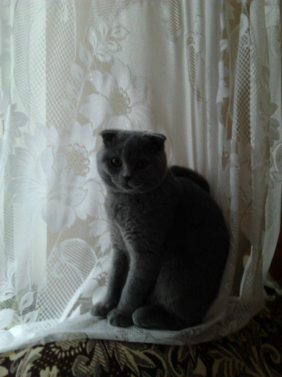 Марина Новикова | Минск