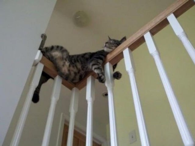 Галина Антарюк | Fgura