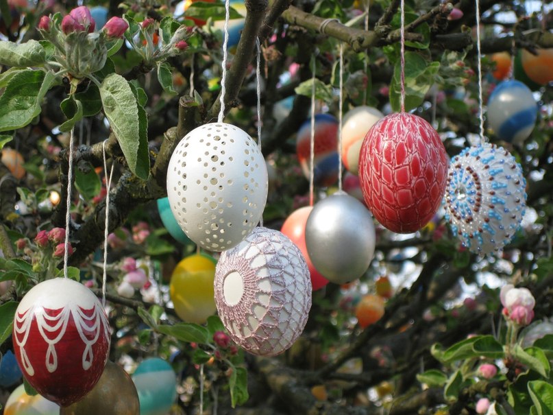 Светлана Шалонина | Санкт-Петербург