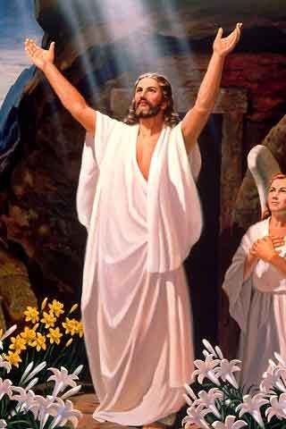 №106, Оля Курис, Ровно №106, Оля Курис, Ровно