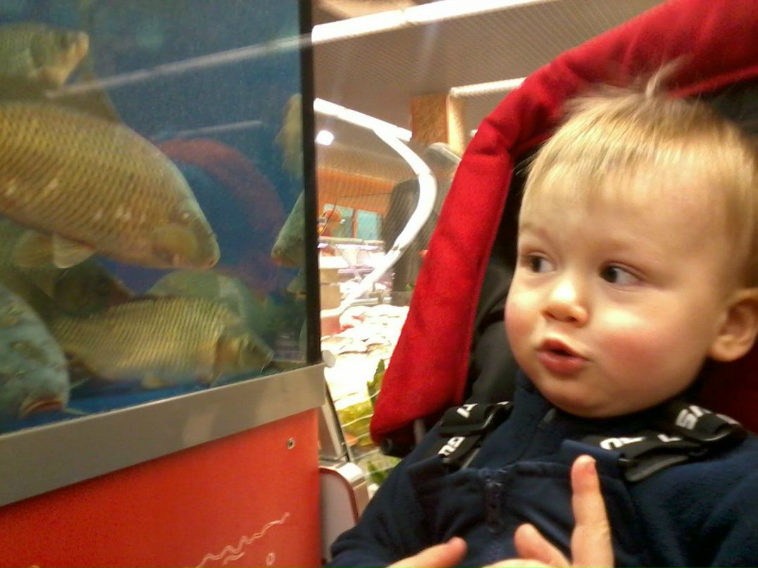 Алексей Матюшкин | Москва