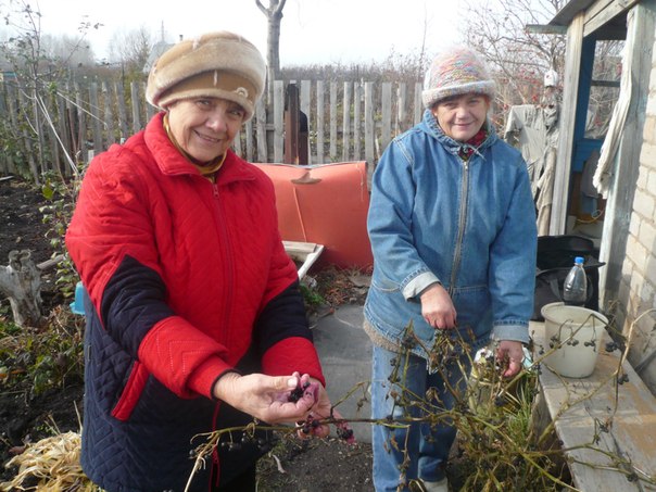 Валентина Антонова фото со стены #1