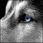 Иван Корпущенко -=ST@FFF=- | Тамбов