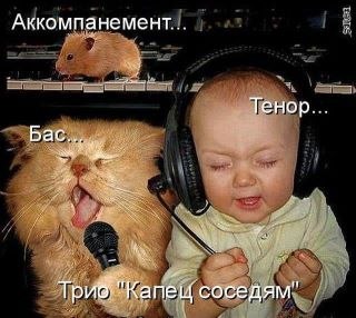 №8, Ильмира Рахимова, Коканд №8, Ильмира Рахимова, Коканд