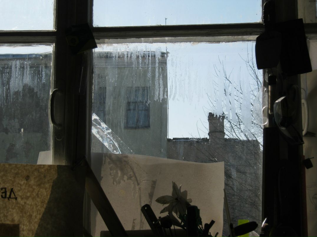 Лида Тризонова | Могилёв