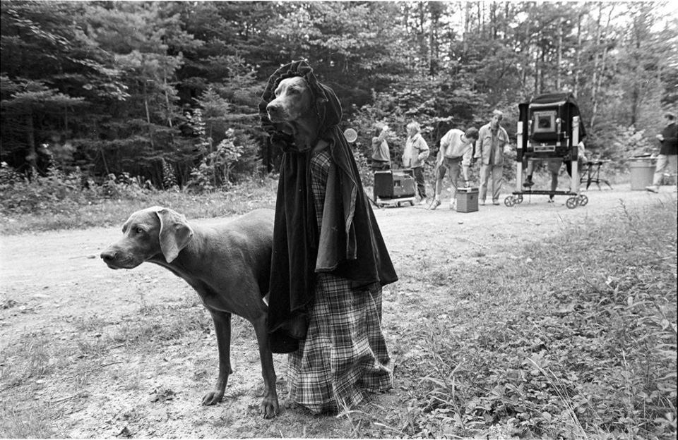 Андрей Исаенков | 