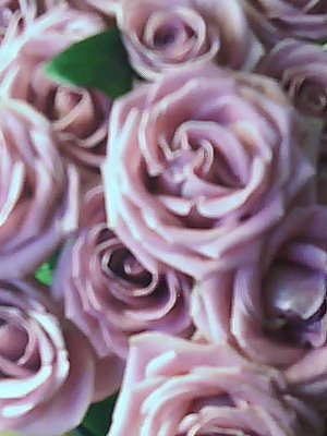 Елена Кабак | Запорожье