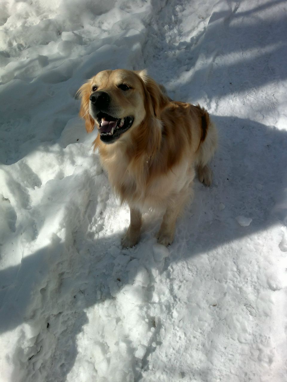 Дмитрий Черноляхов ())---DIMON--- | Москва