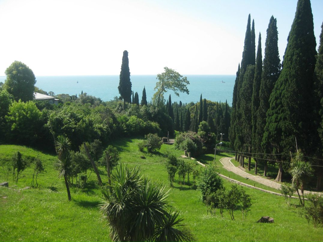 Дима Колдин | Раменское