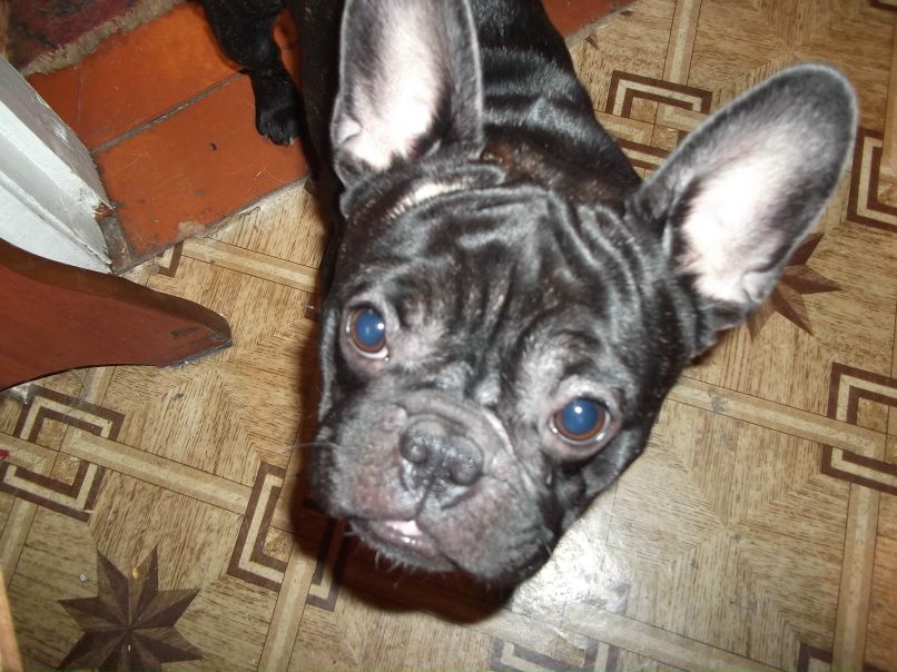 Михаил Костенко | Тверь