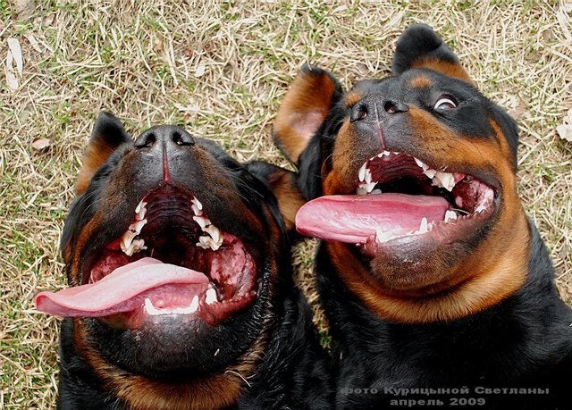 Марина Бережная DeadSpace | Москва