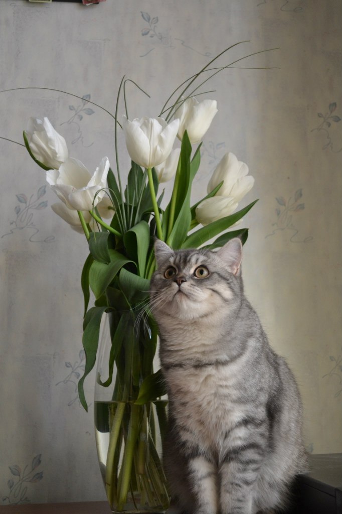 Яна Ткаченко √V^√\~√V^ √V^√\~ | Днепр (Днепропетровск)