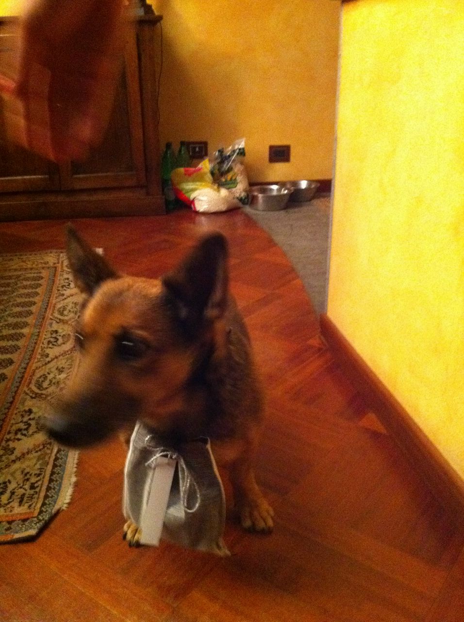 Ліля Козар | Львов