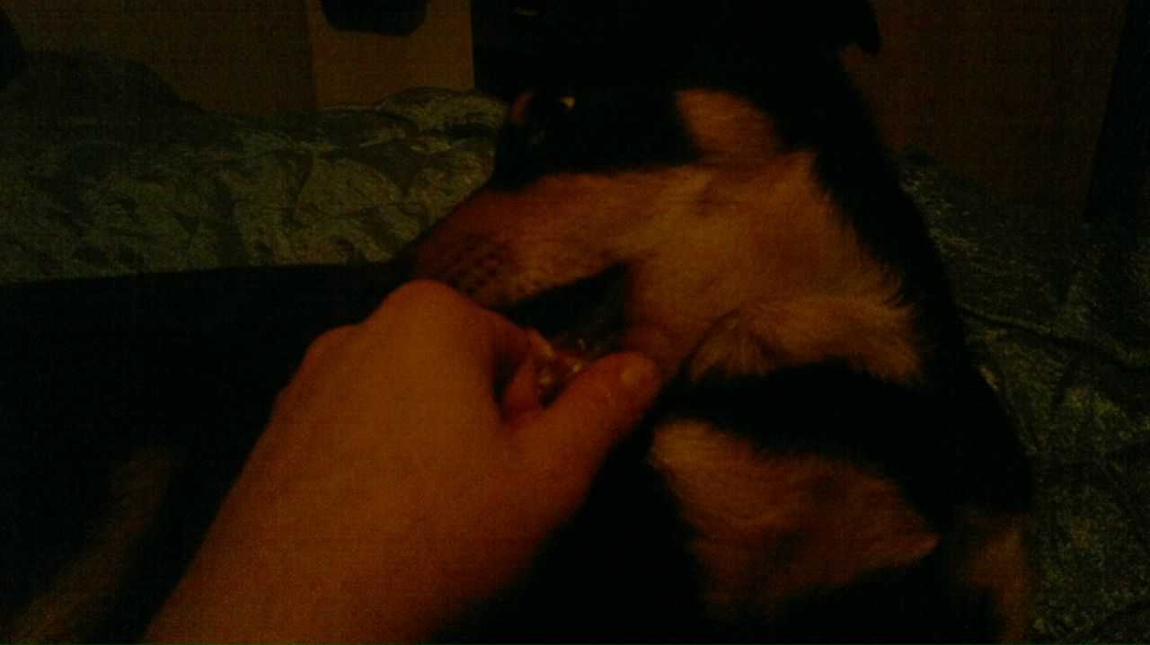 Олег Янковский ОлЕжКа:) | Киев