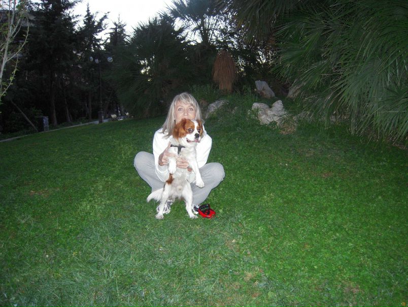 №3, Елена Петрова №3, Елена Петрова