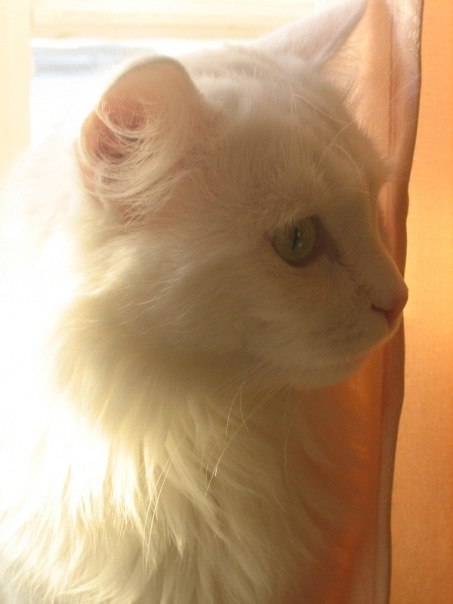 Людмила Кибукевич | Пермь