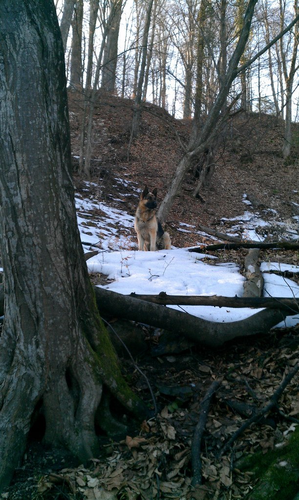 Василь Дудина | Выгода