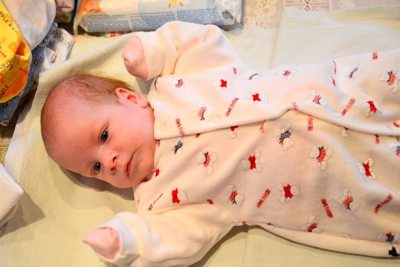 Елена Шульга | Сургут