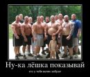 №16 Рома В. : профиль, фото, статус - ВКонтакте