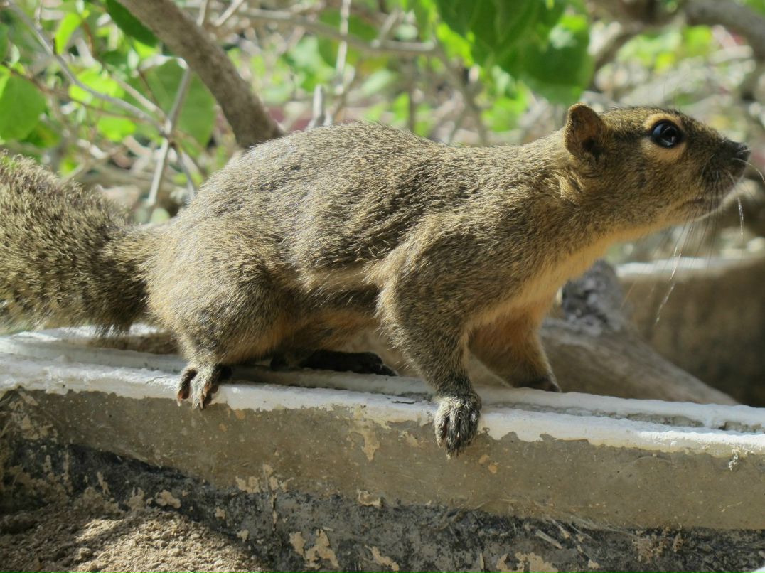 Анастасия Мальцева | Самара