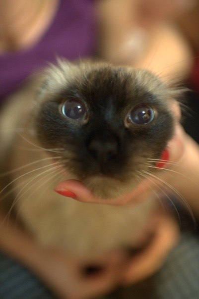 Кристина Бунина | Одесса