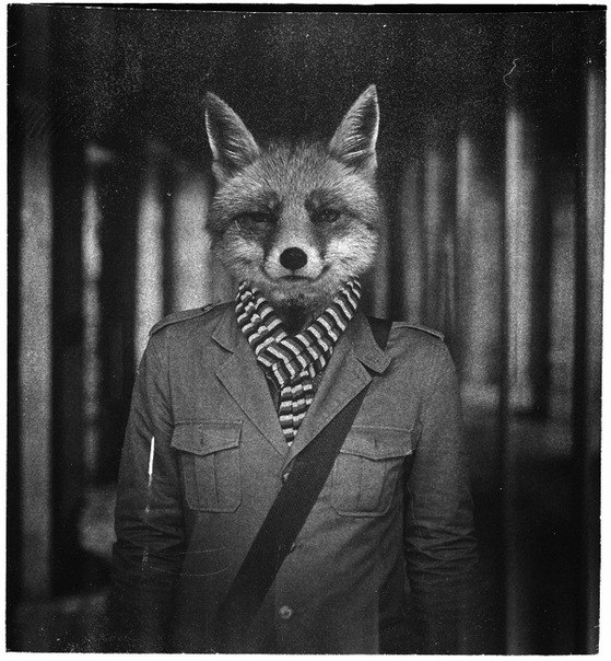 Леонид ****** | Калининград