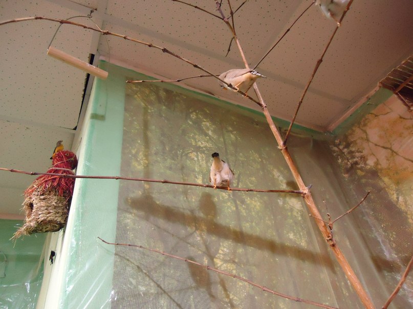 Алёна Корольская | Санкт-Петербург