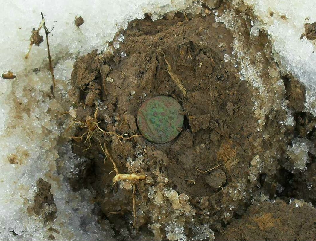 Максим Смирнов | Можайск