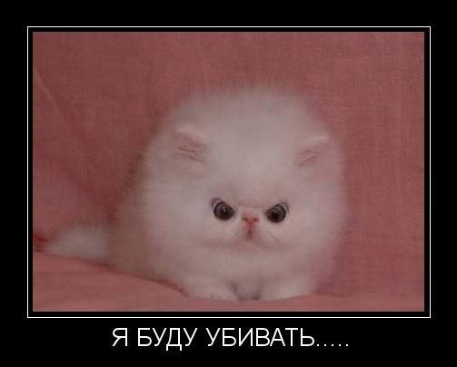 Серёга Гришков Владимирович | Николаев