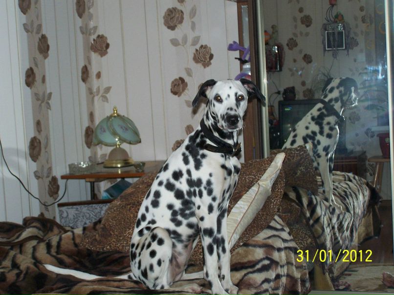 Любовь Бугеда | Одесса