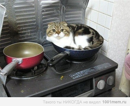 Екатерина Радаева | Самара