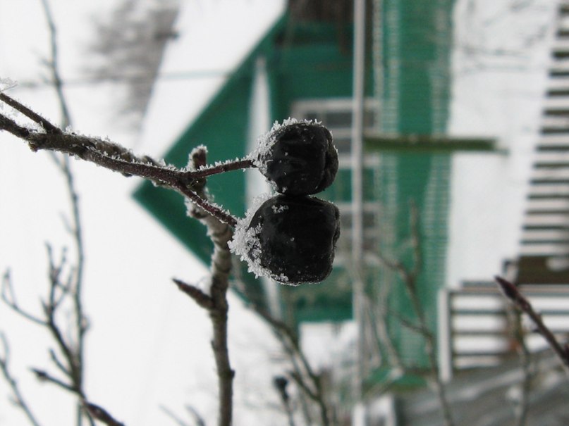 Татьяна Ланина | 