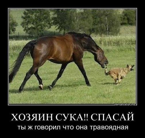 Артем Трухоненко | Санкт-Петербург