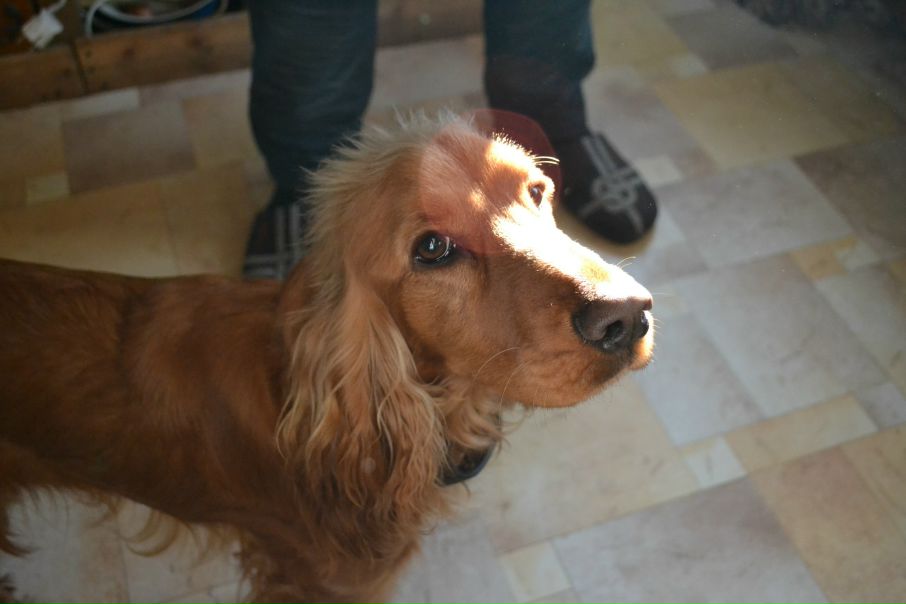 №26, Петро Іванченко, Боярка №26, Петро Іванченко, Боярка