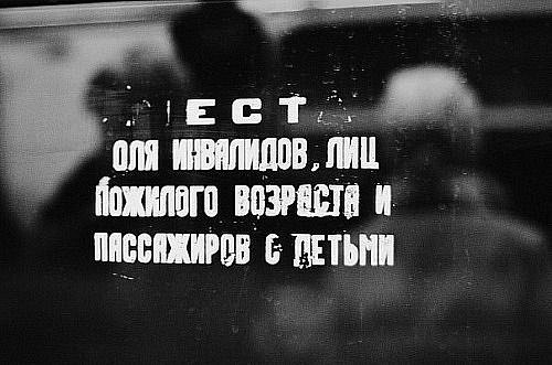 Свиброкрылая Jane | 