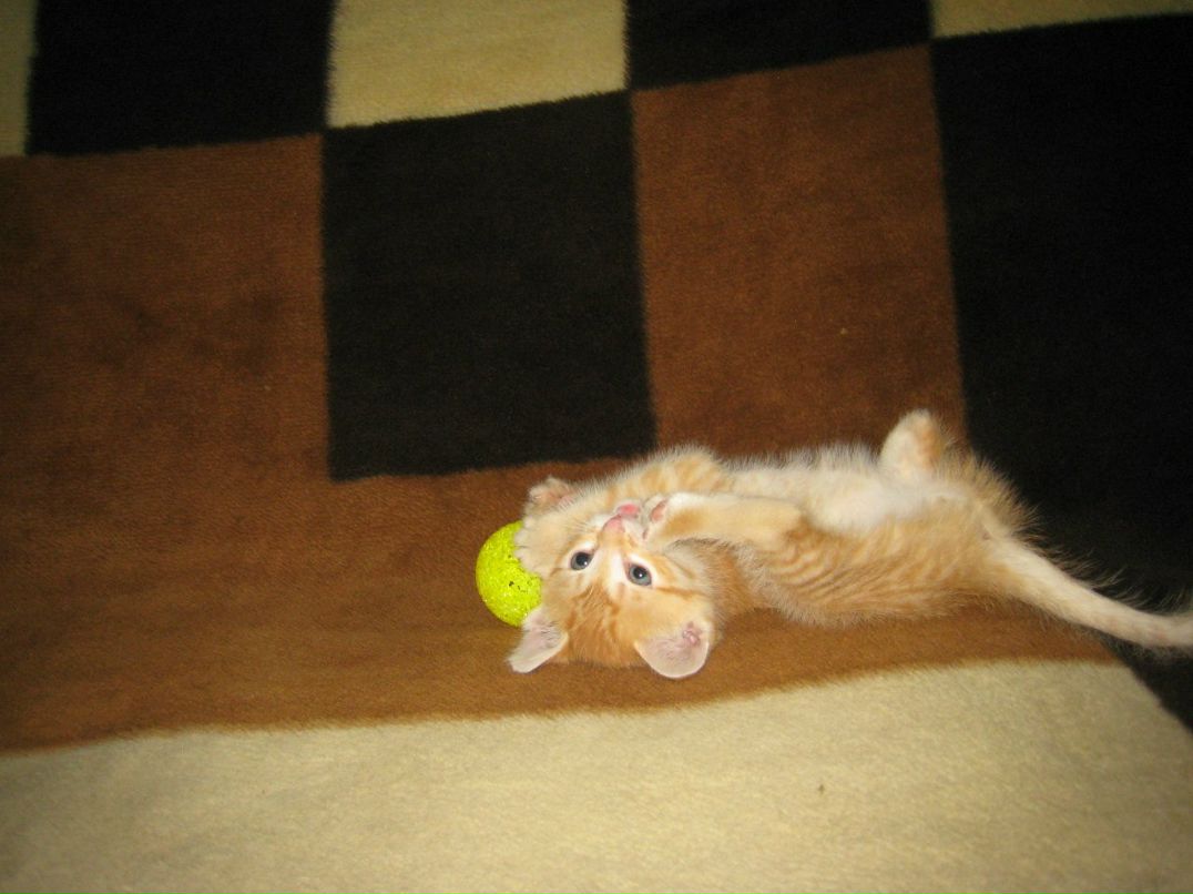 Павел Сдобнов | Москва