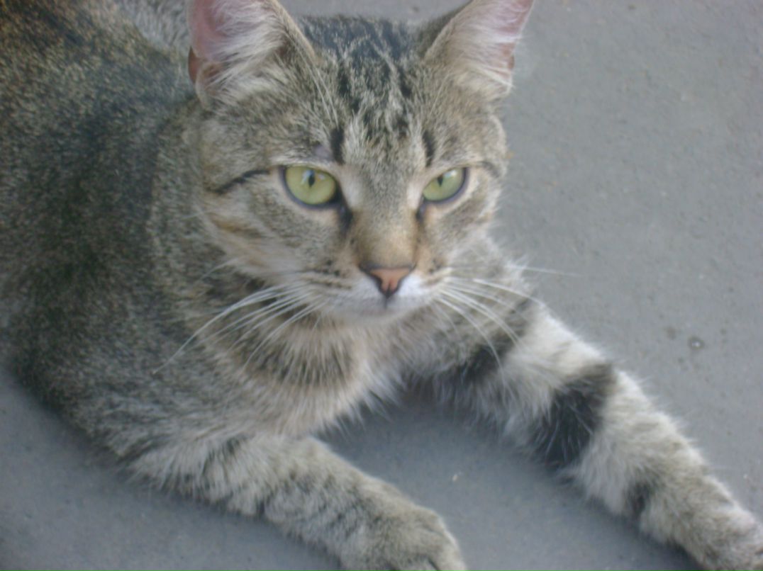 Татьяна Боровская | Одесса