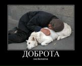 Фотография Гарик Мошаров