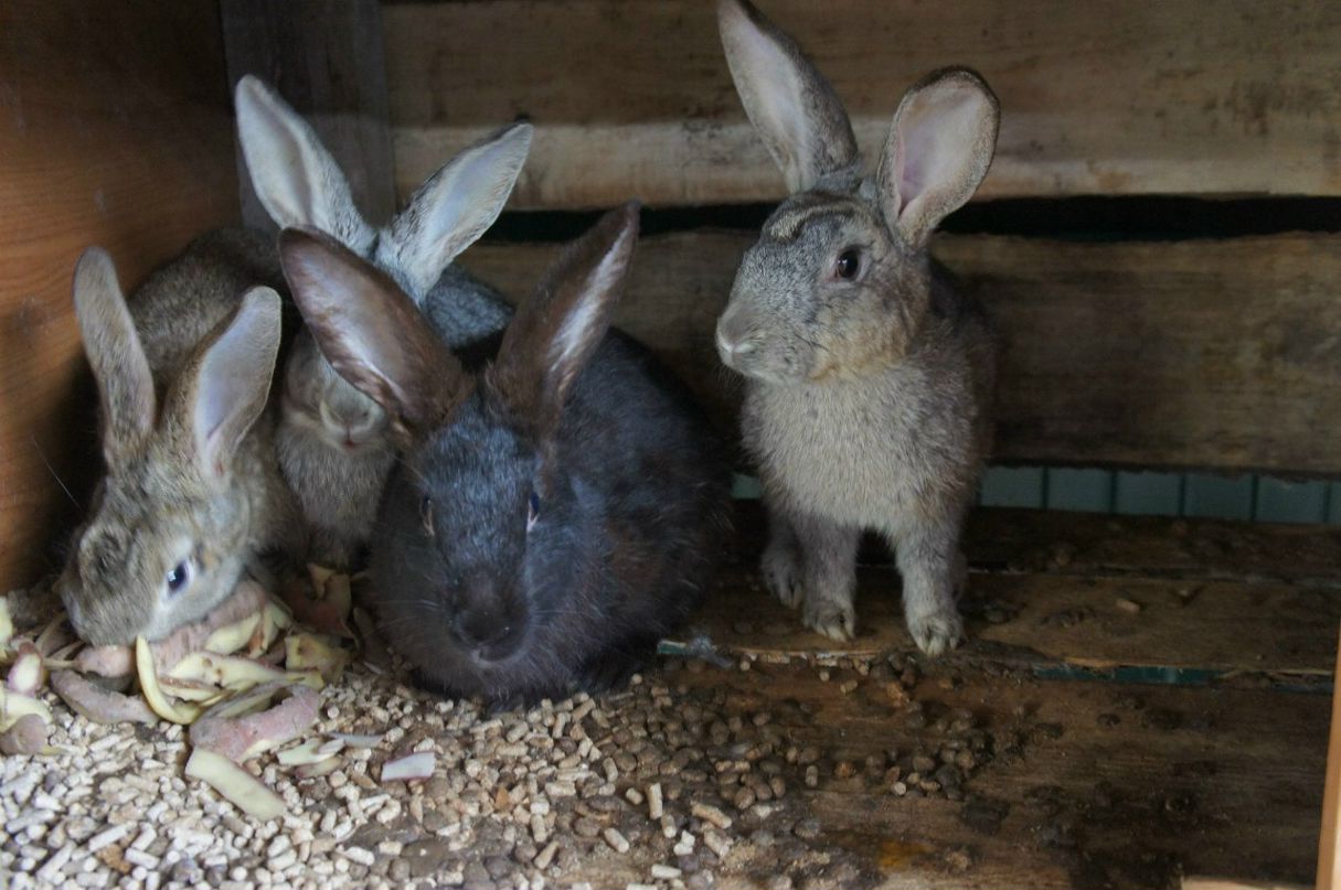 Татьяна Сергеева | Великий Новгород