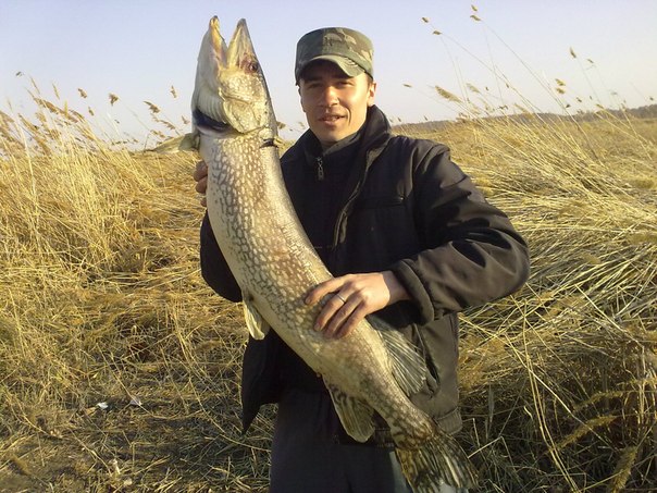 №4, Яна Конышева, Шумиха №4, Яна Конышева, Шумиха